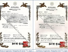 certificado_aliya_valeeva009
