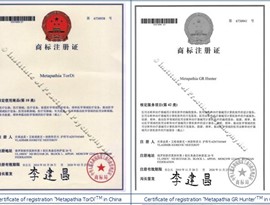 certificado_aliya_valeeva010